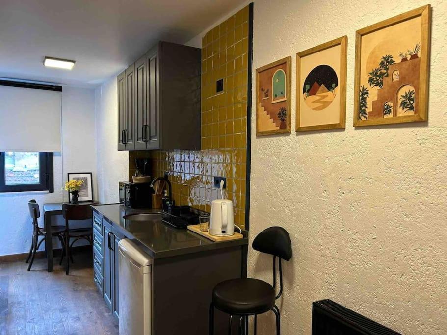 דירות Casa Mirasol Terrace Golden Horn איסטמבול מראה חיצוני תמונה